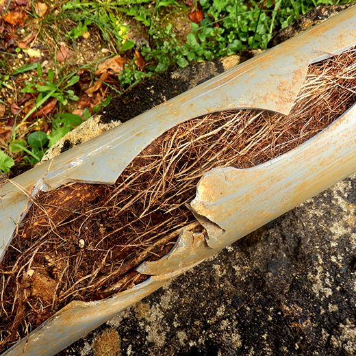 Same Day Drain Sewer & Rooter Pros Across Hopkinton